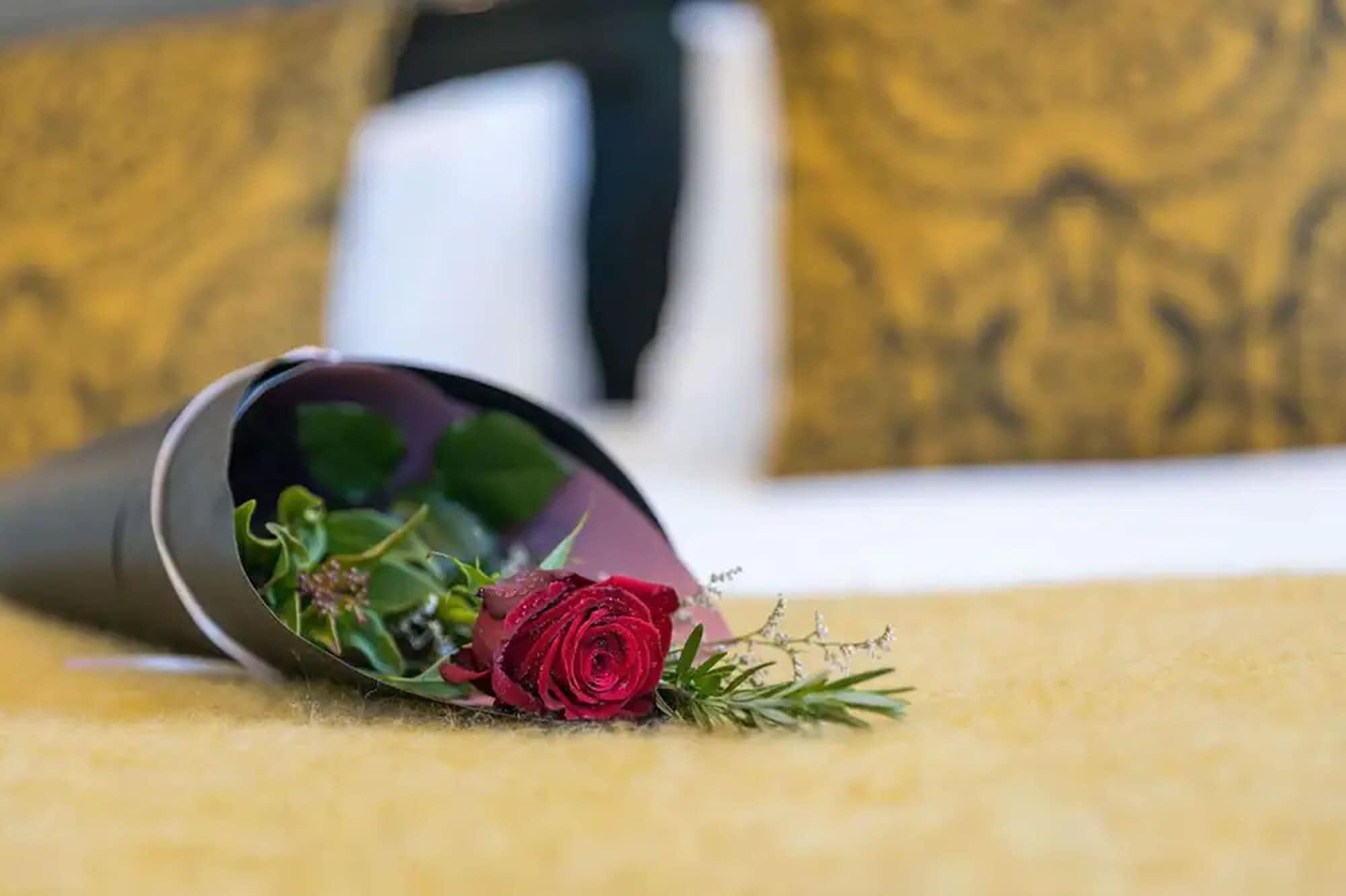 Palazzo Motor Lodge Nelson Exterior photo A rose in a vase